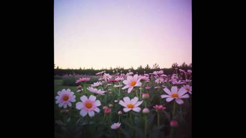 Nurturing the Soul