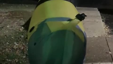 😂👶 You Won't Believe What Happens to This Poor Kid! | FunFM