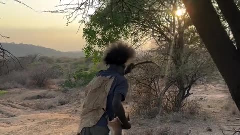 Hadzabe Tribe Success Hunting