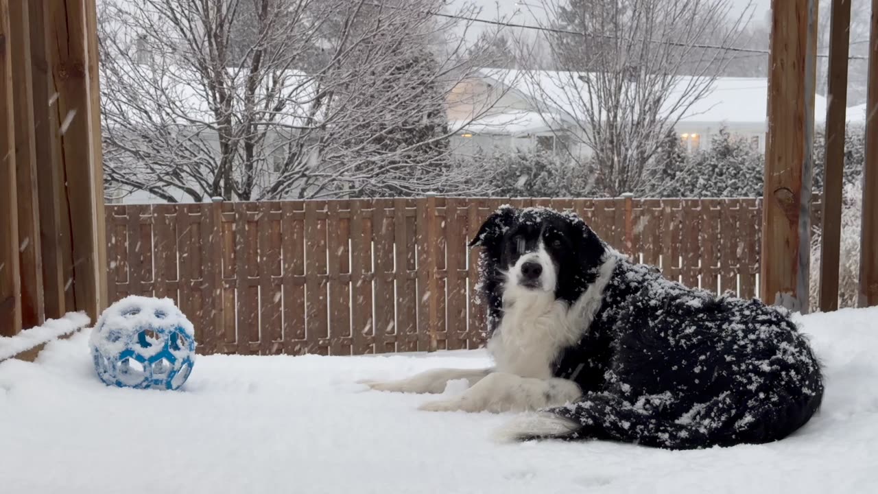 ✨ Joyeux Noël ✨