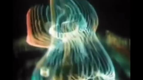 People are Starting to Remember the Secrets of the Universe ✨