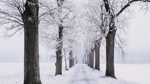 God's Touch - Wilson's Disease (Jeff Osburn)