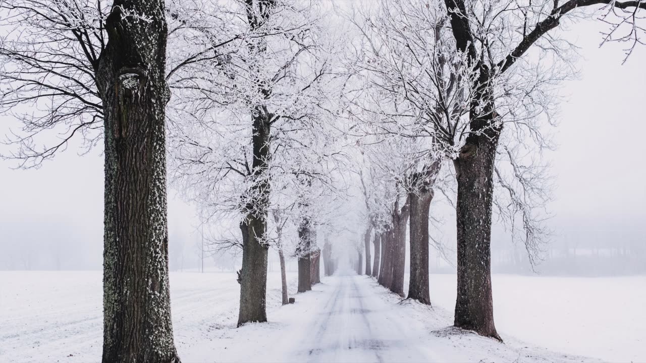 God's Touch - Wilson's Disease (Jeff Osburn)