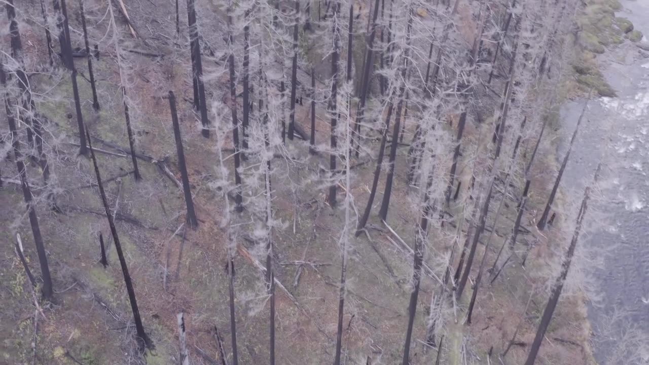 searching for Devon-4