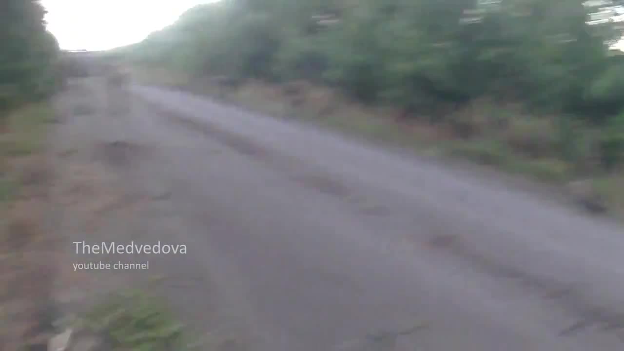 Pro-russians rebels sturm Ukrainian checkpoint