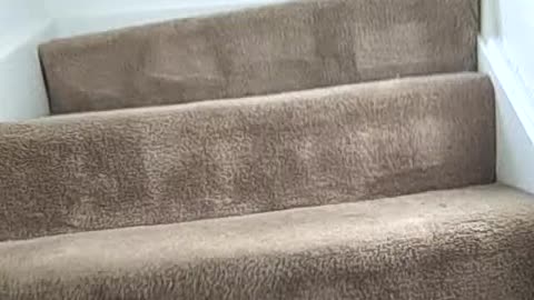 TUB ALL DONE ON BRADFORD ST. CHEAP PROPERTY IN DETROIT, SHEA SHOW