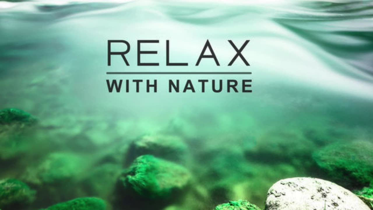 🌿 Relaxing Bird Sounds & Nature Ambience | Deep Mind Relaxation Music for Stress Relief & Sleep"