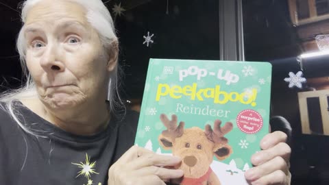 Pop - Up Peek a Boo Reindeer