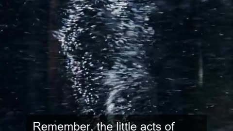 Daily Horoscope | Pisces 🌟