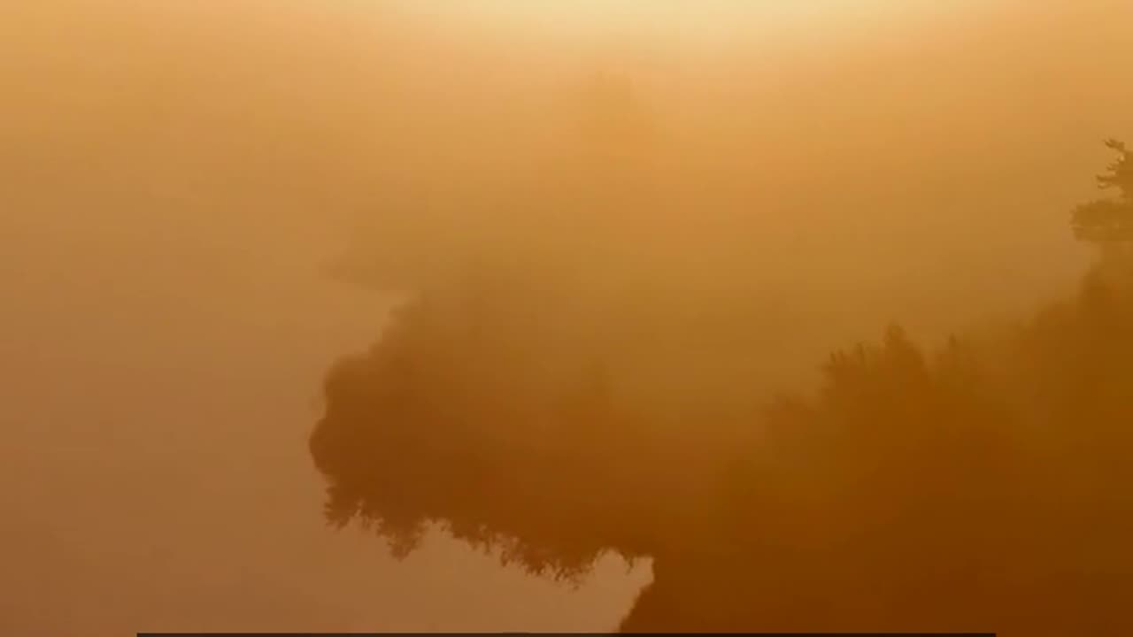 Daily Horoscope | Leo 🌟