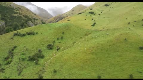 The King Of Love My Shepherd Is