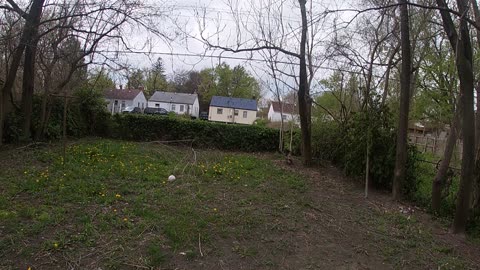 Another nasty ass tenant we evicted, THE SHEA show-065