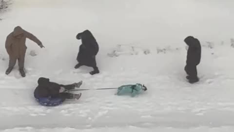 Dog sledding through the snow 😊