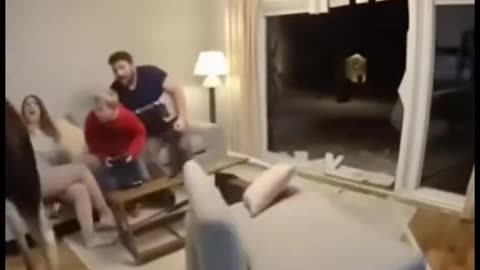 funny videos