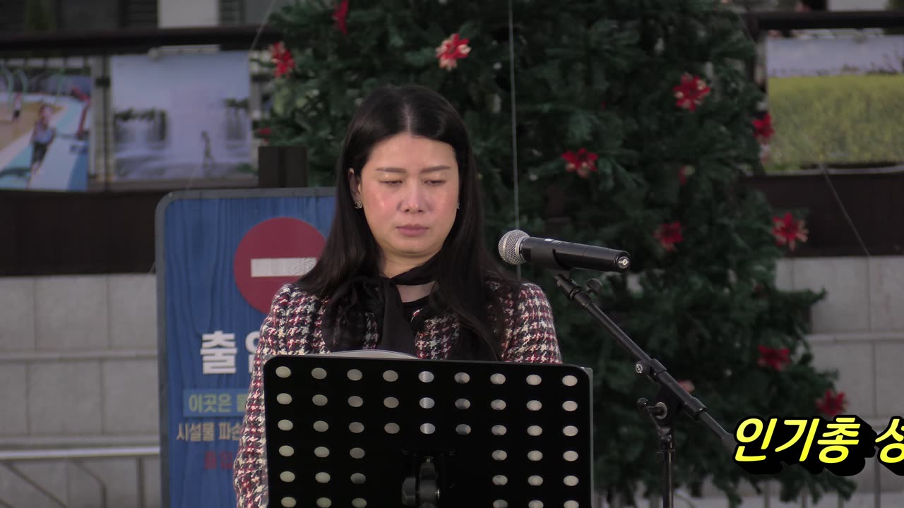 플롯연주: 김효진 집사/ /인기총 성탄트리점등식.25.11.1.