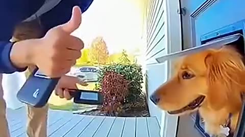 Our Dog Signed for My Amazon Package Today