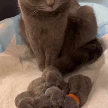 Carbon copy of their mama 😍