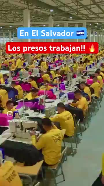 el salvador donde existen presos por disendir de la dictadura de bukele("trabajo")