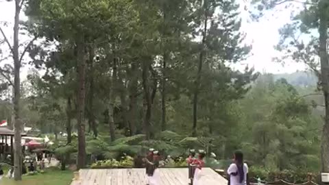 Traditional dances