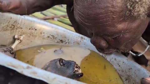Hadzabe Tribe Enjoy Monkey Soup..