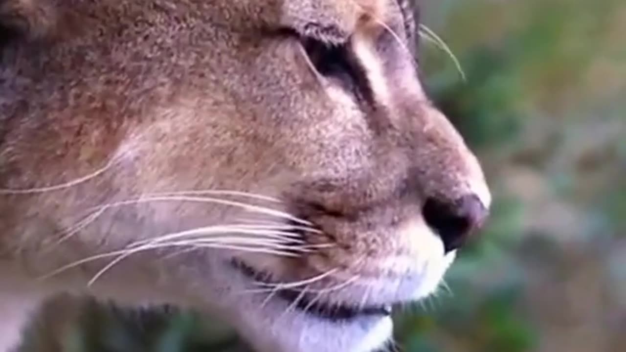 This Beauty Broke the Internet!