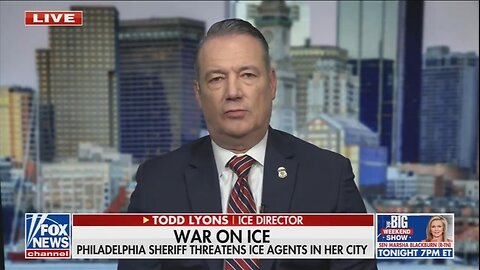 ICE Director Fires Back At Democrat Threats To Arrest ICE Agents