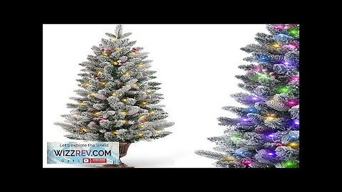 Pre-Lit Artificial Mini Christmas Tree Warm White LED Lights Colorful Lights Spruce Review