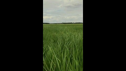 Daily Verse November 6th 2025