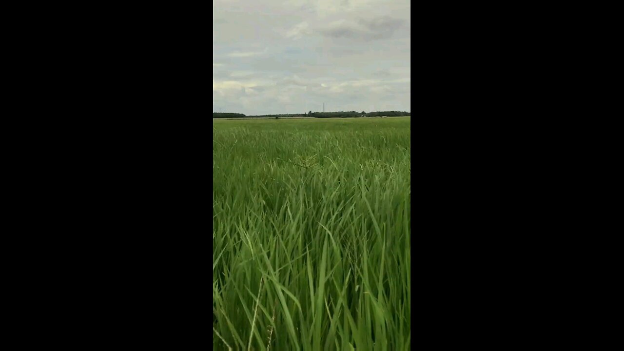 Daily Verse November 6th 2025