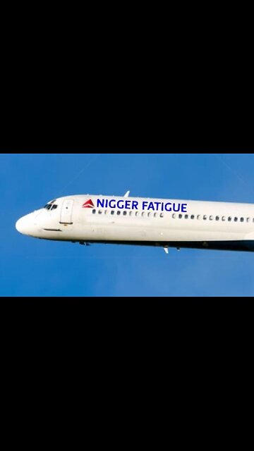 Airplane Rudeness Example Number 1276 Why Blacks Are Hated