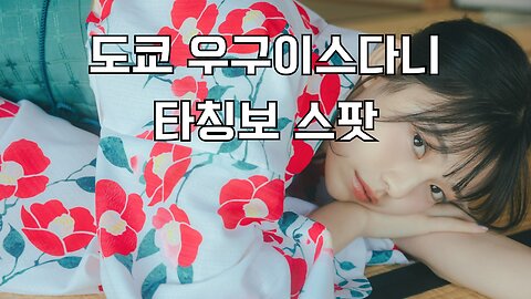 도쿄 우구이스다니 타칭보 스팟 tokyo uguisudani tachinbo spot