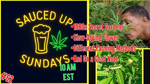 Sauced Up Sundays: Harvest Time... again