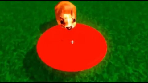 Is it really a dog? | Three minutes with your dog