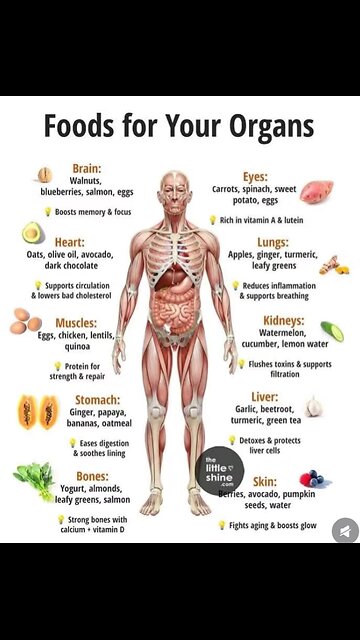 “Food for Your Organics – Nature’s Healing Power”