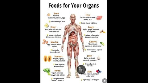 “Food for Your Organics – Nature’s Healing Power”