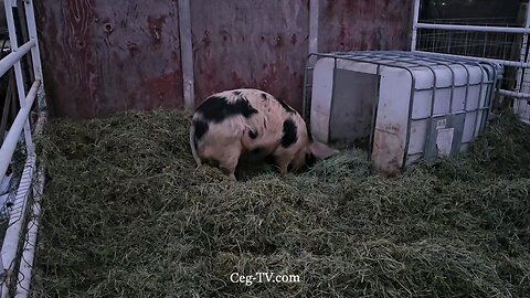 Graham Family Farm: 5:40 PM February 10th 2025