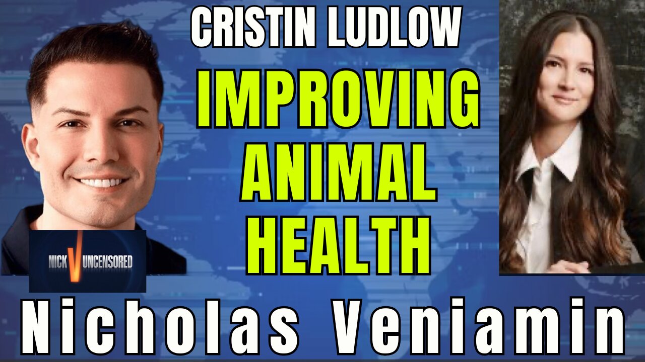 Cristin Ludlow on How to Make Animals Healthy Again | Interview with Nicholas Veniamin