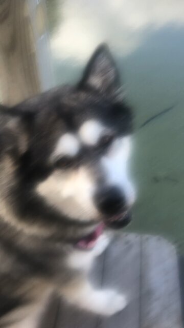 Sunday October 26, I am overwhelmed with joy.