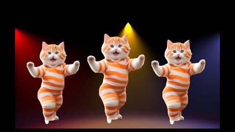 😻Cat videos funny dance 💃😃Videos for catsv#funnycats #dancingcat #catlovers