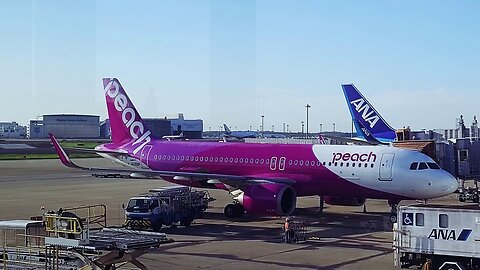 Flying to Osaka Using Peach Airline and Exploring Dotonburi