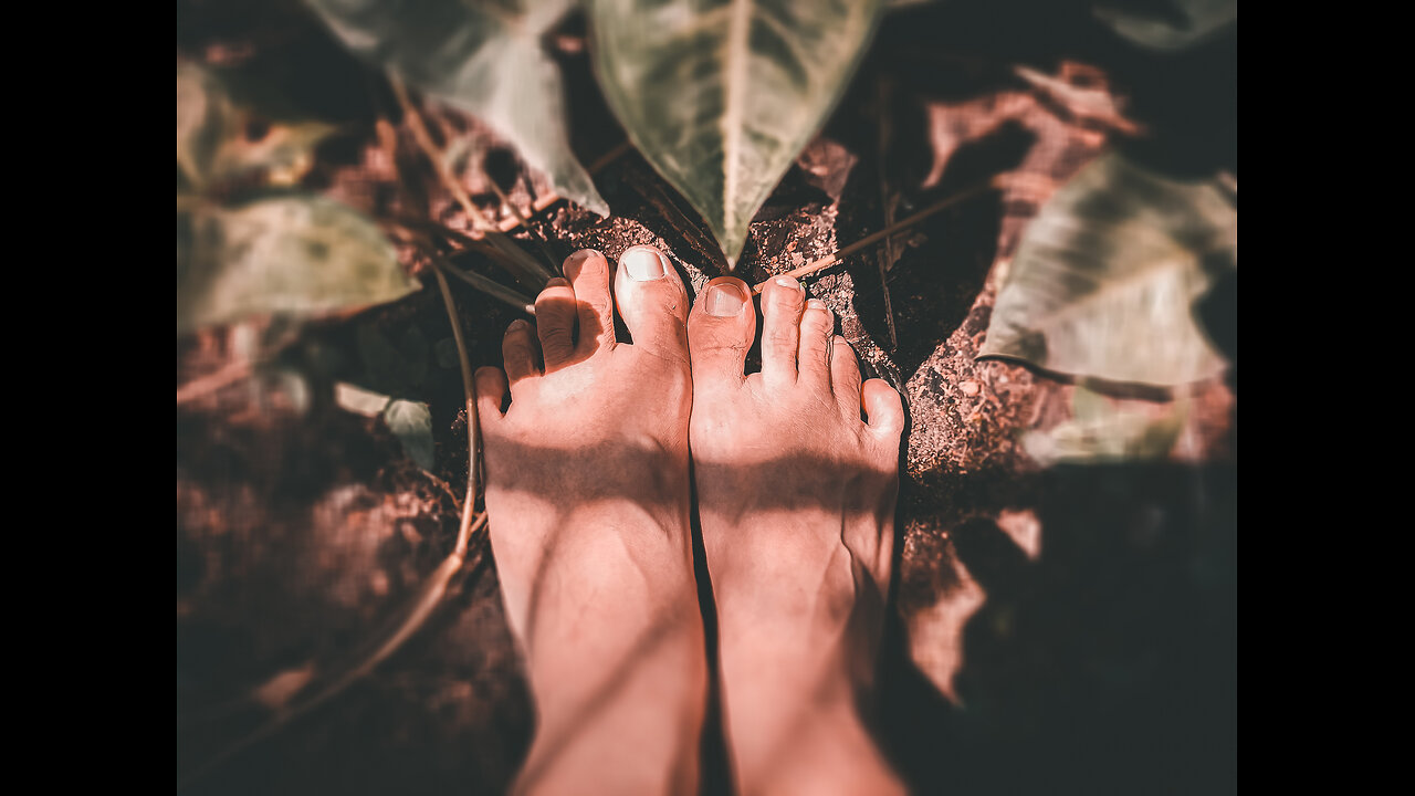 Earthing/Grounding: Harnessing the earth's electrons for your health!