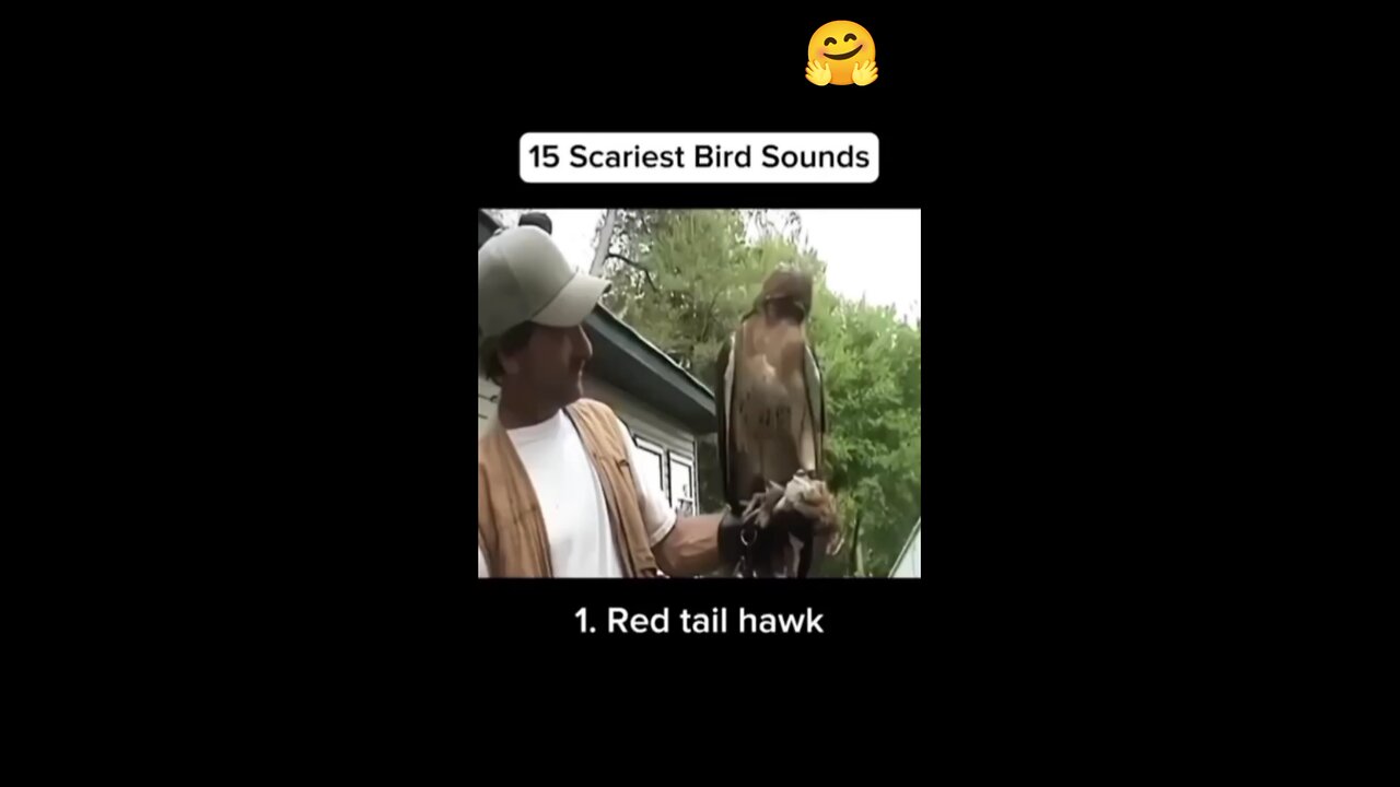 🤗👏👏