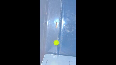 What is this? Bottom of bin