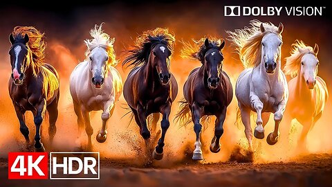 Unbelievable 4K HDR 60fps Dolby Vision™ | 4K Video Ultra HD