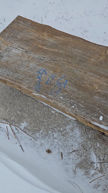 Jes Ica Gomes was Here