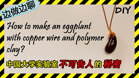 第27期 茄子 Issue 27 eggplant DIY handmade copper wire pendant 中国大学实验室侵害学生利益