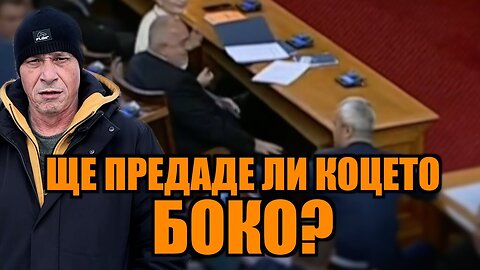 ЩЕ ПРЕДАДЕ ЛИ КОЦЕТО БОКО?