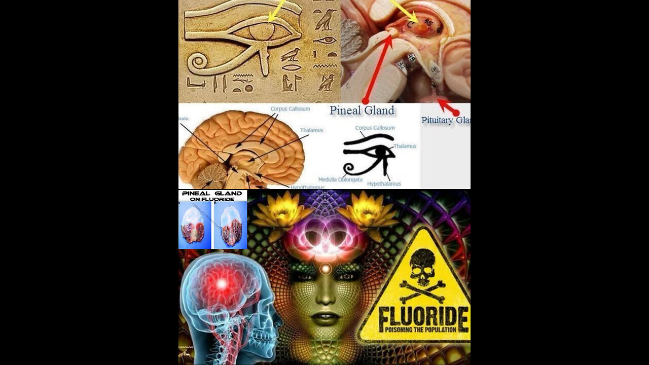 The Assault on Consciousness: How Modern Technology and Chemicals Target the Pineal Gland