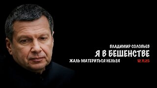 Я в бешенстве | Владимир Соловьев