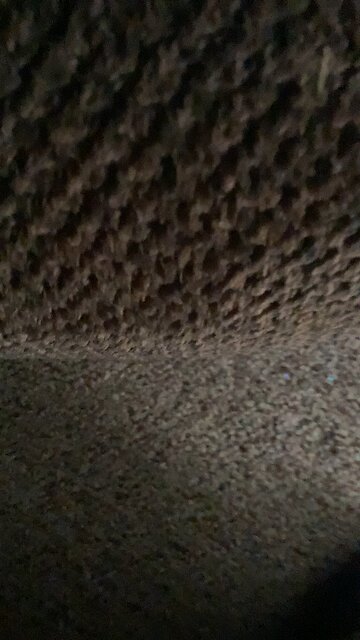 Bro thinks he’s a Bridge Troll 💀